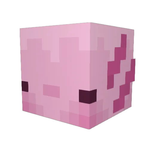 Woonwik Minecraft avatar head, 3D render