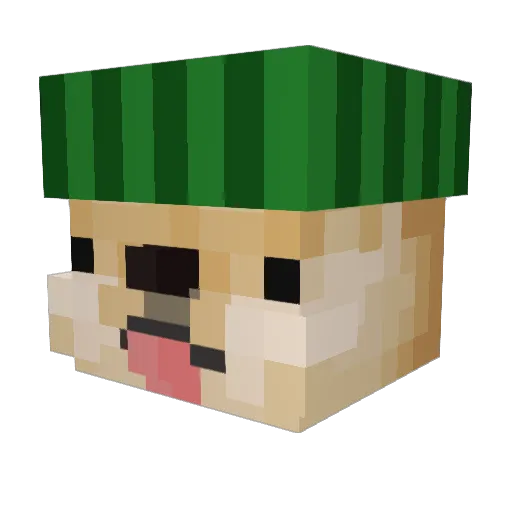 WooofPack Minecraft avatar head, 3D render