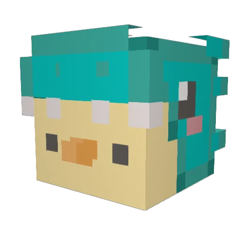 Wooolloomooloo Minecraft avatar head, 3D render