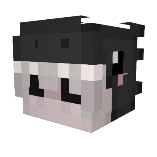 Wooozee Minecraft avatar head, 3D render