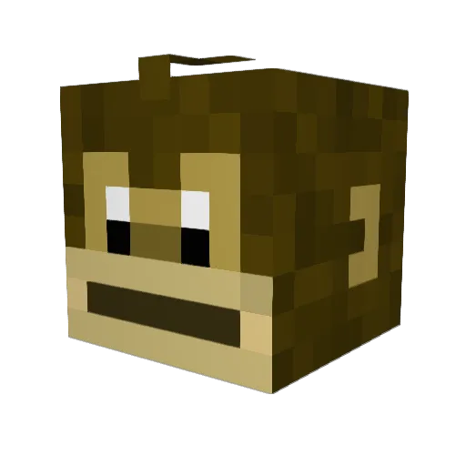 Woop1K Minecraft avatar head, 3D render