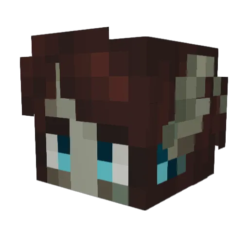 Woopidoop Minecraft avatar head, 3D render