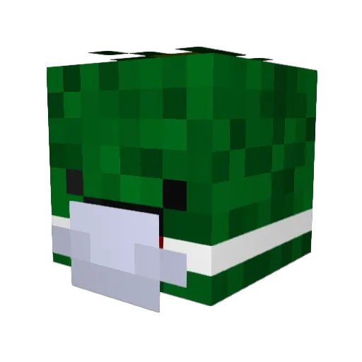 Woopo Minecraft avatar head, 3D render