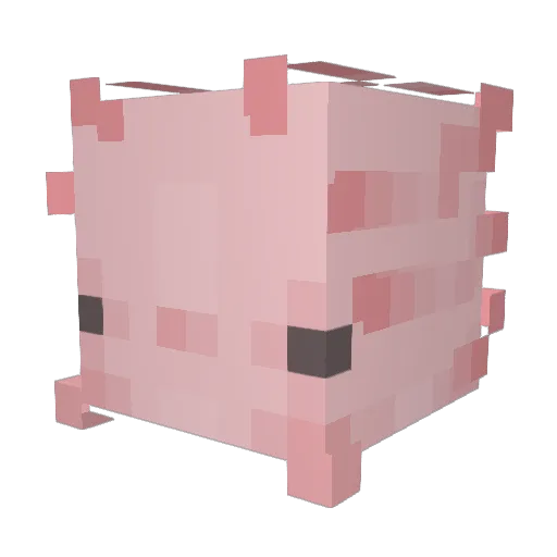 Woopsiedaisy Minecraft avatar head, 3D render