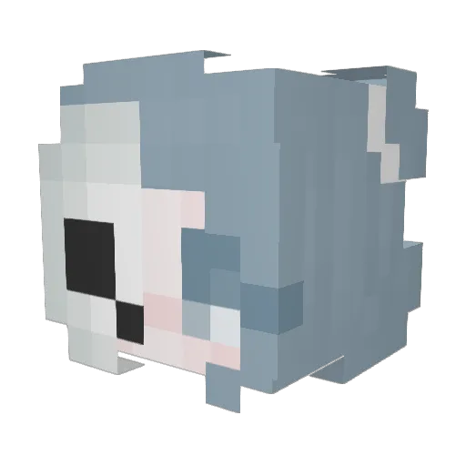 Woopsies Minecraft avatar head, 3D render