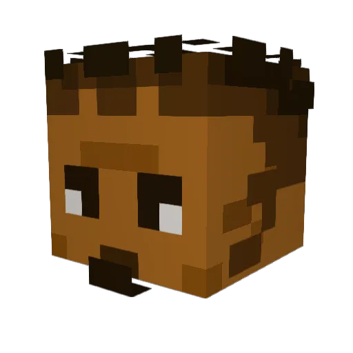 WoosRy Minecraft avatar head, 3D render