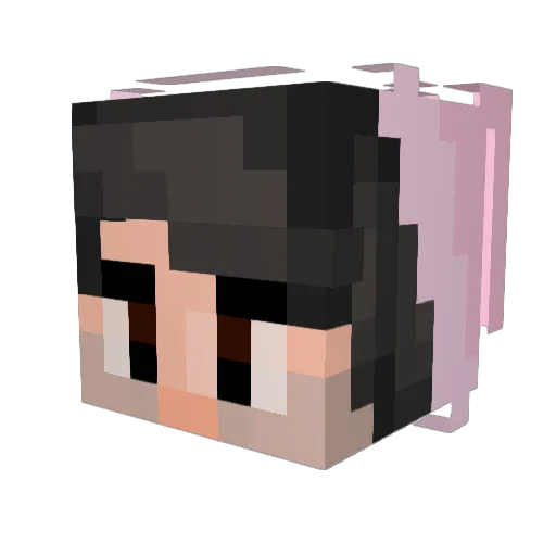 Woospy Minecraft avatar head, 3D render