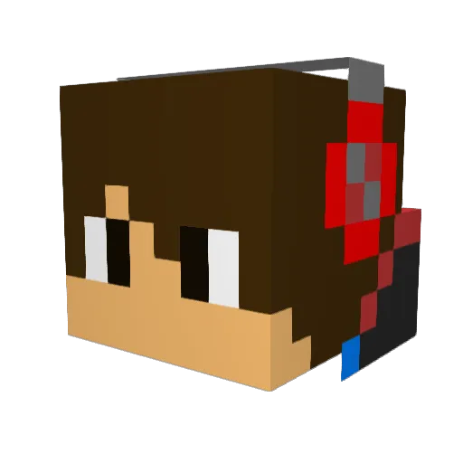 Woosub Minecraft avatar head, 3D render
