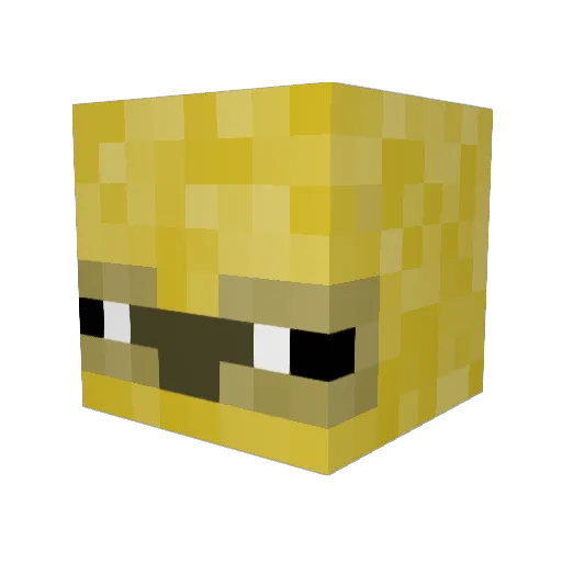 WoozleKing Minecraft avatar head, 3D render