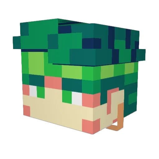 Woozukii Minecraft avatar head, 3D render