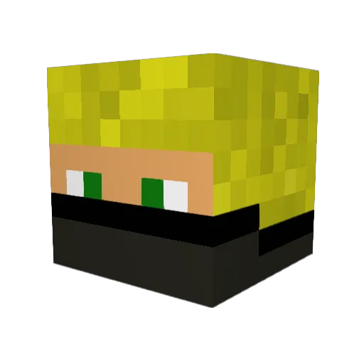 WopMyJuul Minecraft avatar head, 3D render