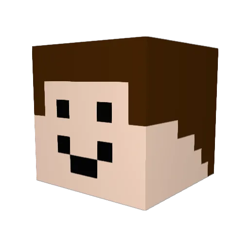 Worage Minecraft avatar head, 3D render