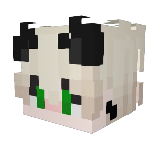Worap Minecraft avatar head, 3D render
