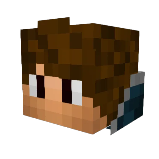 Worbyrd Minecraft avatar head, 3D render