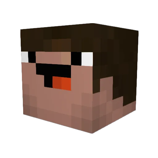 Word_Perfect Minecraft avatar head, 3D render