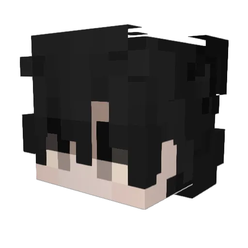 Wordbox Minecraft avatar head, 3D render