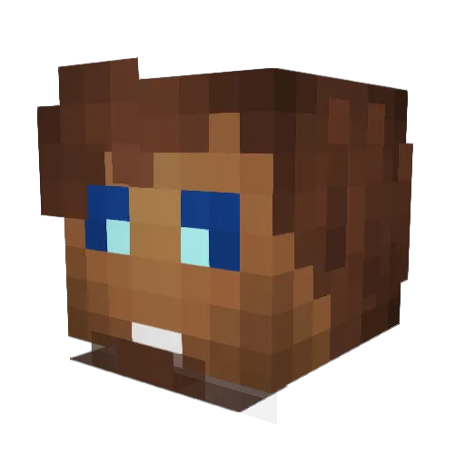 Wordevax Minecraft avatar head, 3D render