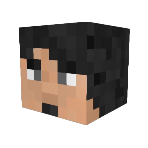 Workingdaniel Minecraft avatar head, 3D render