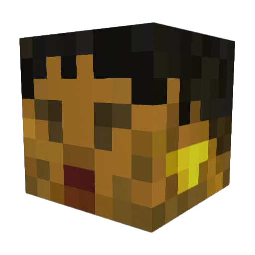 WorldCrafter816 Minecraft avatar head, 3D render