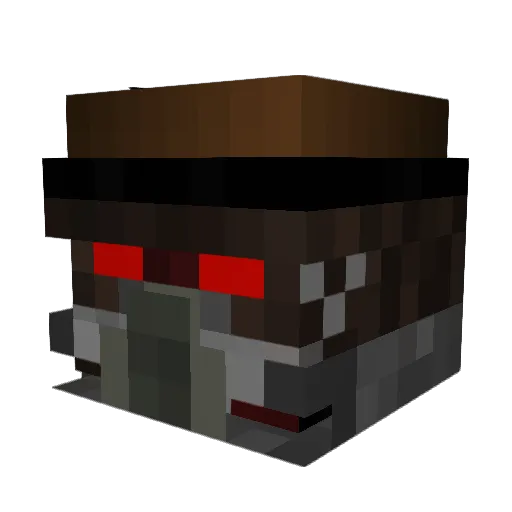 WorldCube123461 Minecraft avatar head, 3D render