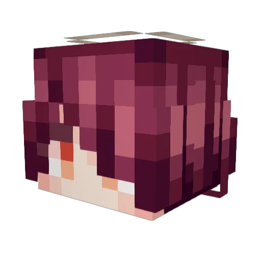 WorldNo1 Minecraft avatar head, 3D render
