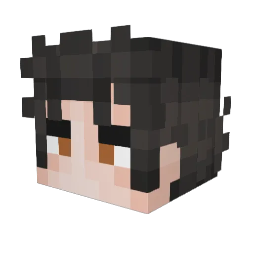 WorldTiger77776 Minecraft avatar head, 3D render