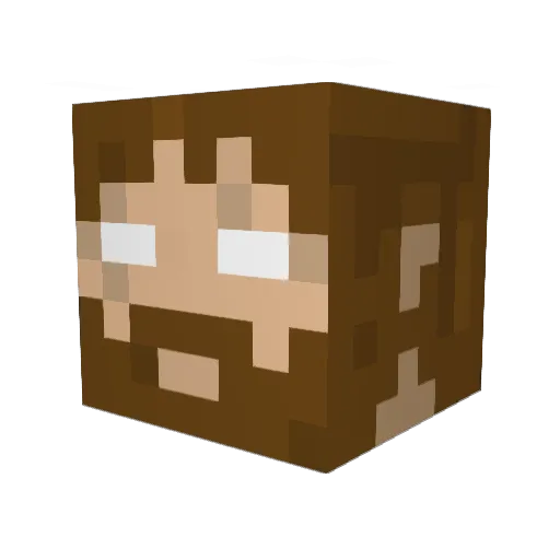 World_of_willy Minecraft avatar head, 3D render