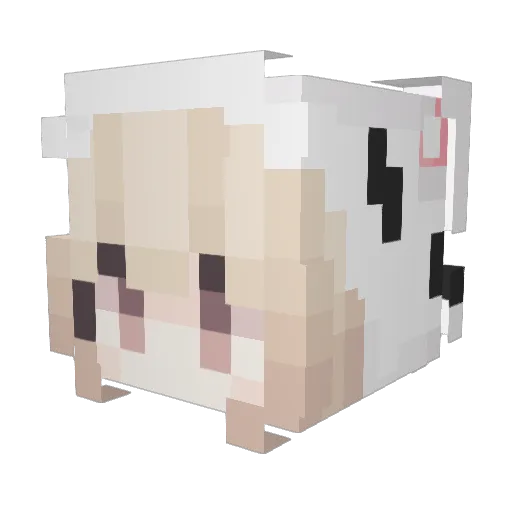 WorldlyBull6958 Minecraft avatar head, 3D render