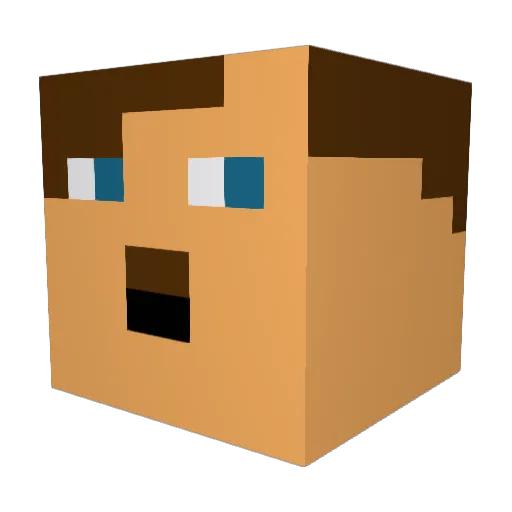 Worldmonkey22 Minecraft avatar head, 3D render