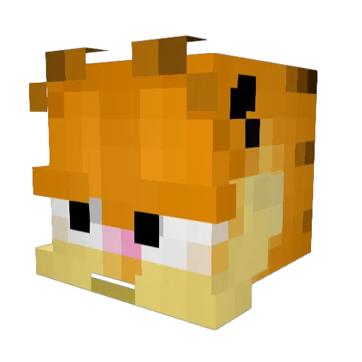 Worldsbestpuller Minecraft avatar head, 3D render