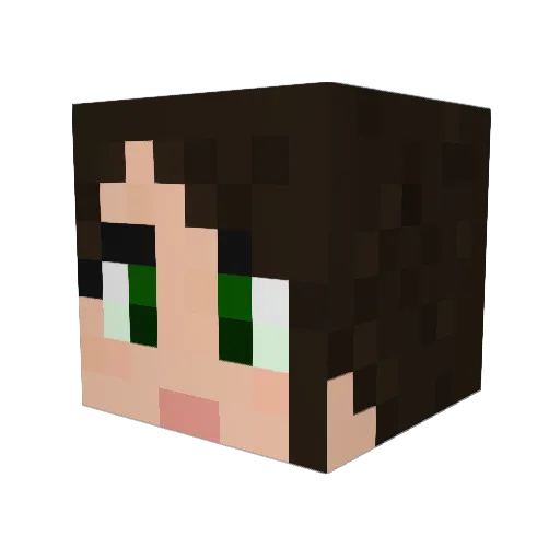 Worldwaker Minecraft avatar head, 3D render