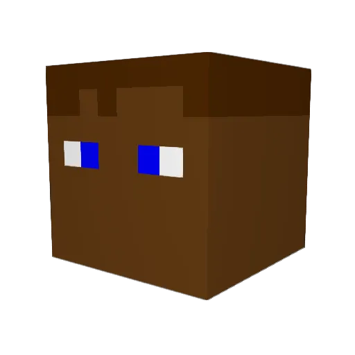 Worm75 Minecraft avatar head, 3D render