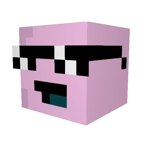 WormGO Minecraft avatar head, 3D render