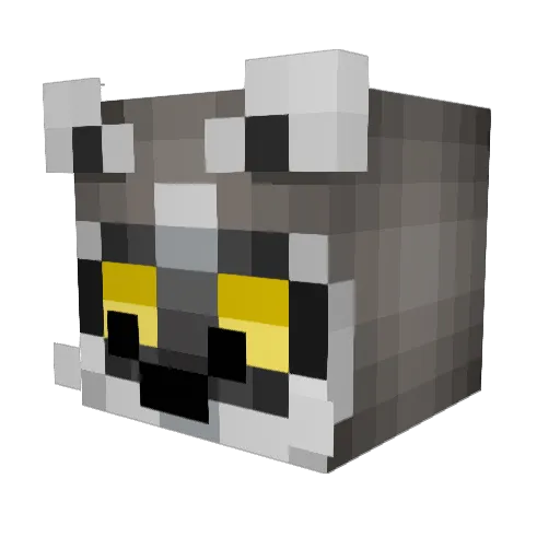 WormLostInTime Minecraft avatar head, 3D render