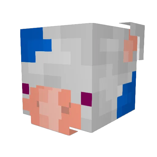 Wormgrrrl Minecraft avatar head, 3D render