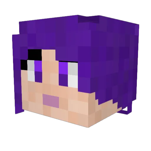 WormierWarrior4 Minecraft avatar head, 3D render