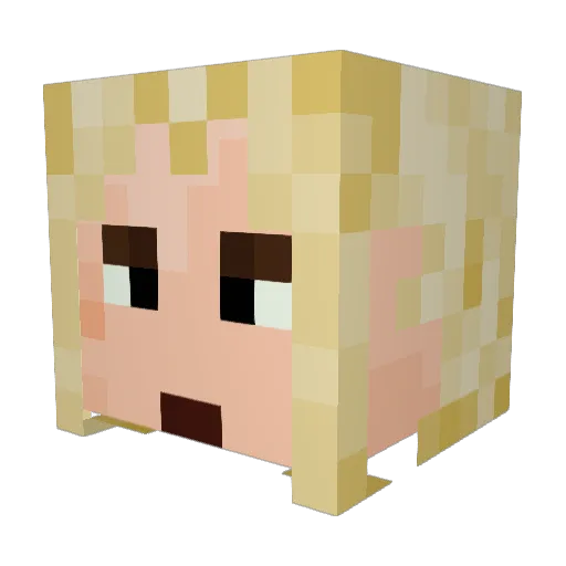 Wormtracer8432 Minecraft avatar head, 3D render