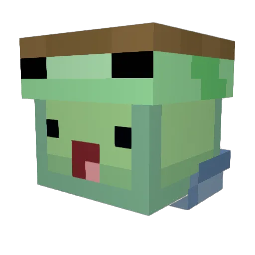 WornTurtle02649 Minecraft avatar head, 3D render