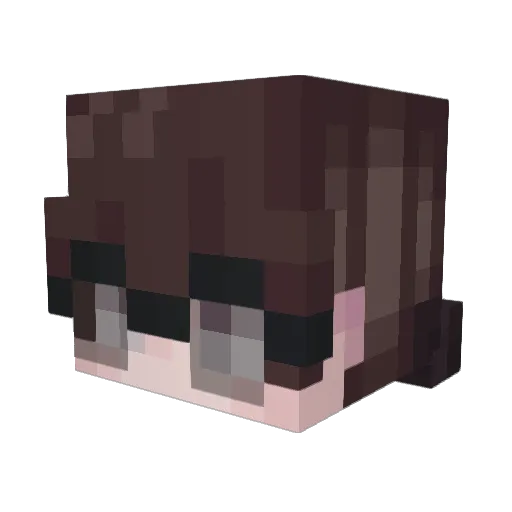Worriful Minecraft avatar head, 3D render