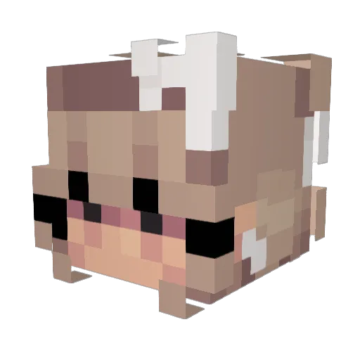 WorstNewB Minecraft avatar head, 3D render