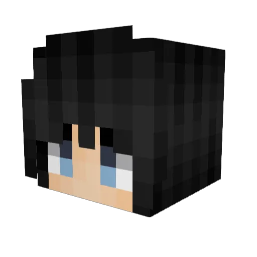 WorstSuccess Minecraft avatar head, 3D render