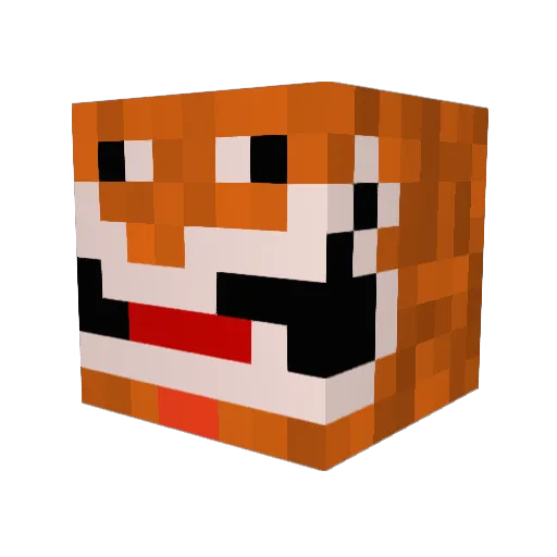 Wortex_ Minecraft avatar head, 3D render