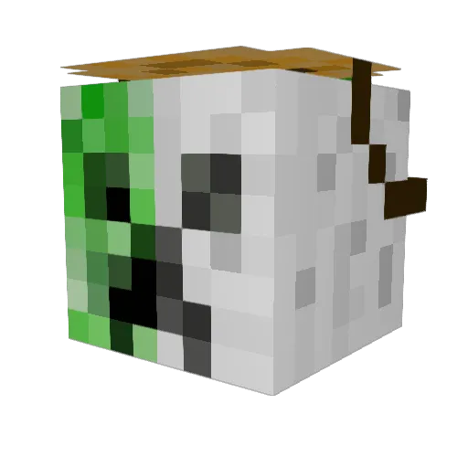 WorthJamesS14 Minecraft avatar head, 3D render