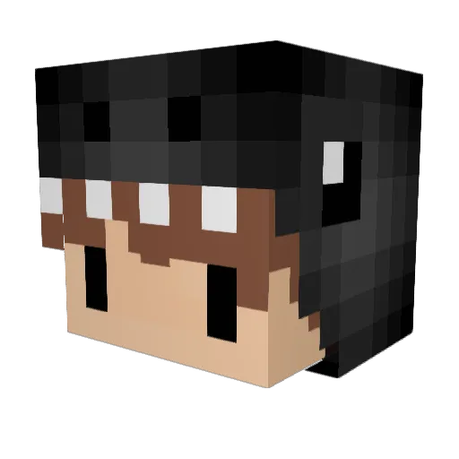 Worth_PlayingV2 Minecraft avatar head, 3D render