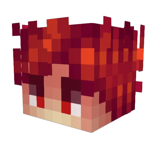 Wosed Minecraft avatar head, 3D render