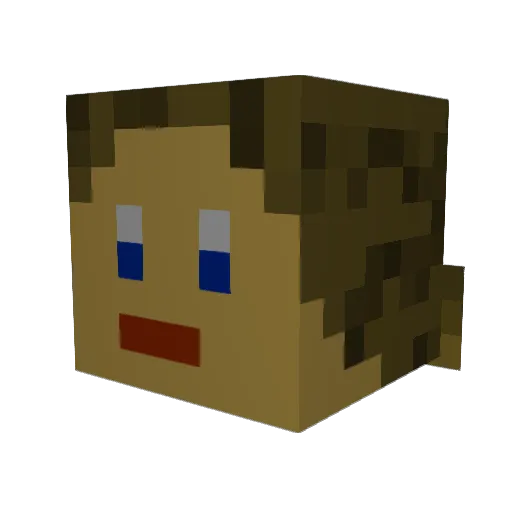 Wossam Minecraft avatar head, 3D render