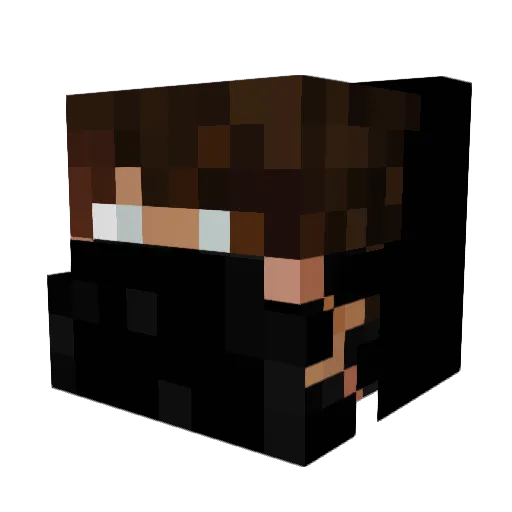 WotTV2_0 Minecraft avatar head, 3D render