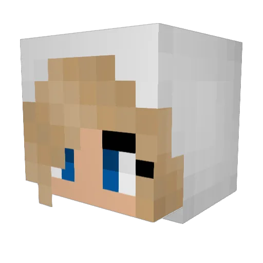 Wotan_32 Minecraft avatar head, 3D render