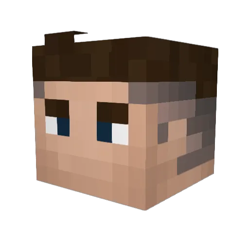 Wotann Minecraft avatar head, 3D render