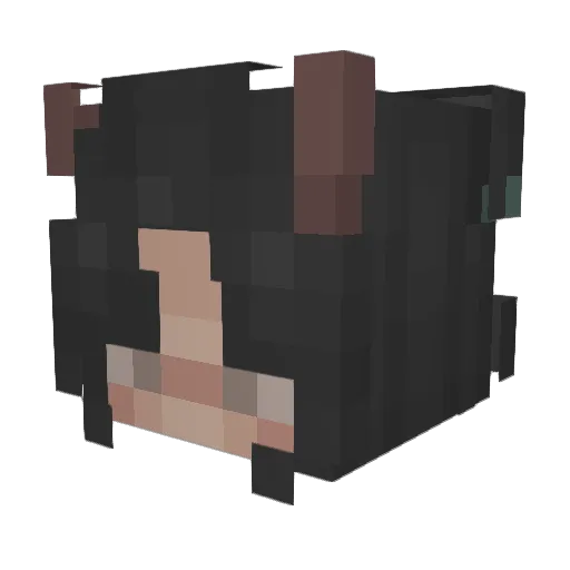 Woty Minecraft avatar head, 3D render